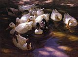 Alexander Koester Eleven Ducks in the Morning Sun painting